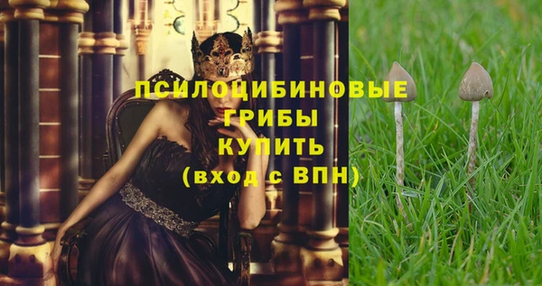 гидропоника Корсаков